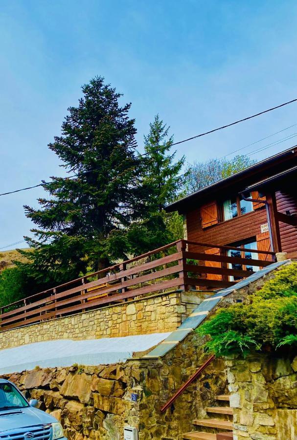 Pura Vida Villa Estavar Eksteriør billede