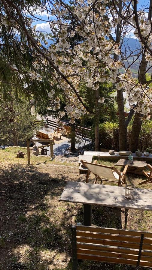 Pura Vida Villa Estavar Eksteriør billede